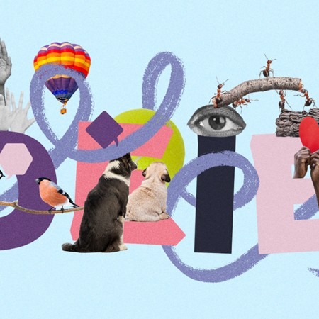 diversity, equity, inclusion, and belonging at work diversity, equity, inclusion, and belonging at work