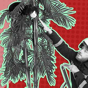 negotiate like a pro negotiate like a pro